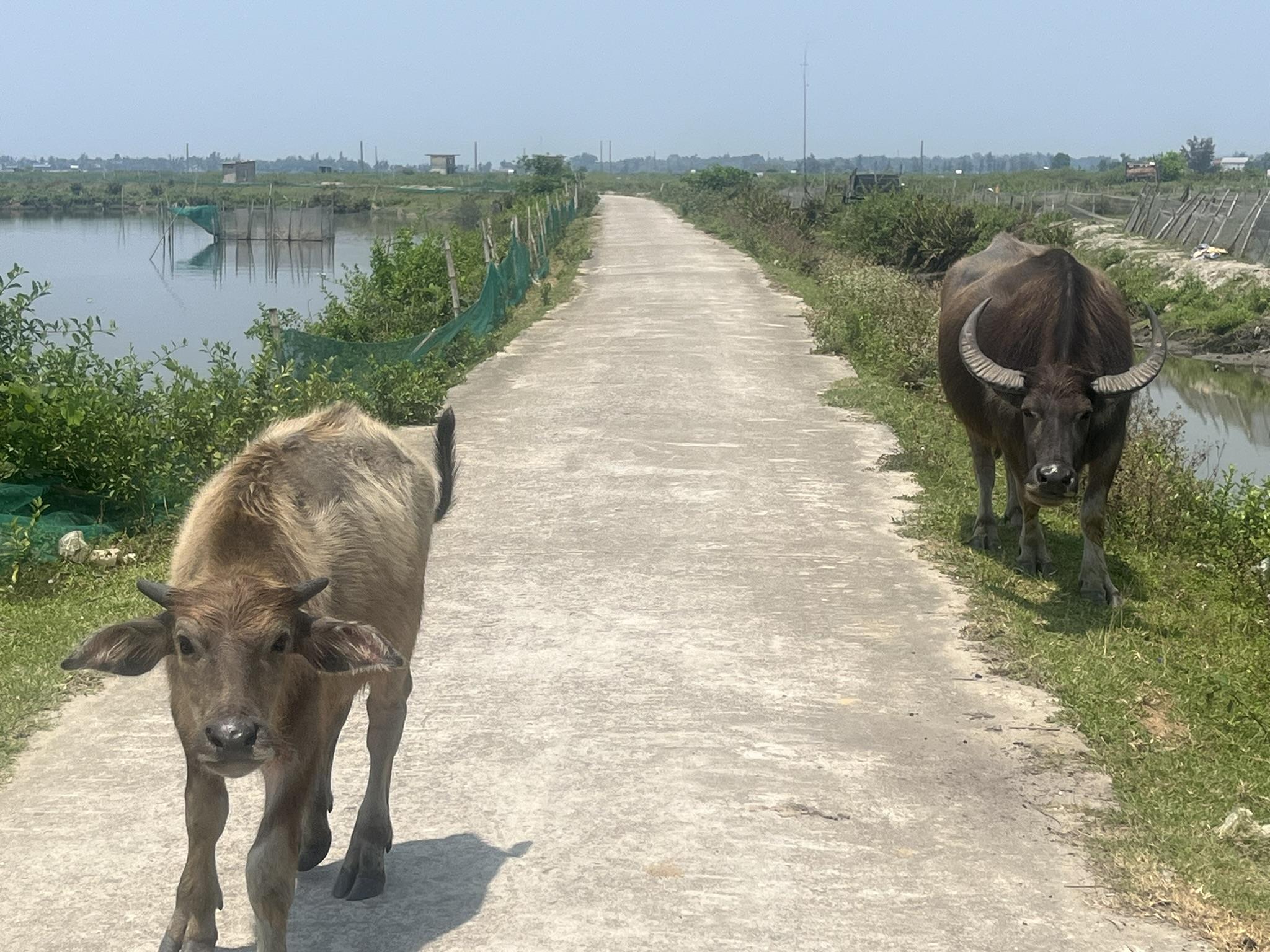 Central Vietnam