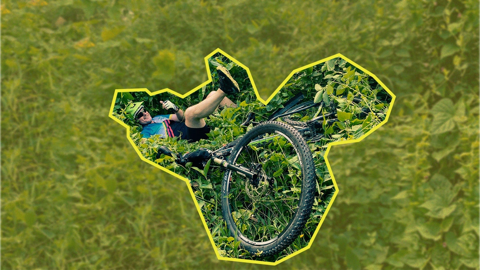 Page Banner